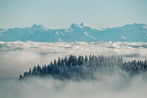 Miscellaneous - Schwarzwaldglück St. Blasien: Apartment with Shared Garden & Wi-Fi in the Black Forest (Sankt Blasien)