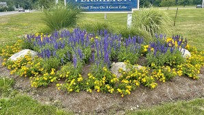 A welcome sign for Vermilion with a garden of yellow and purple flowers.
