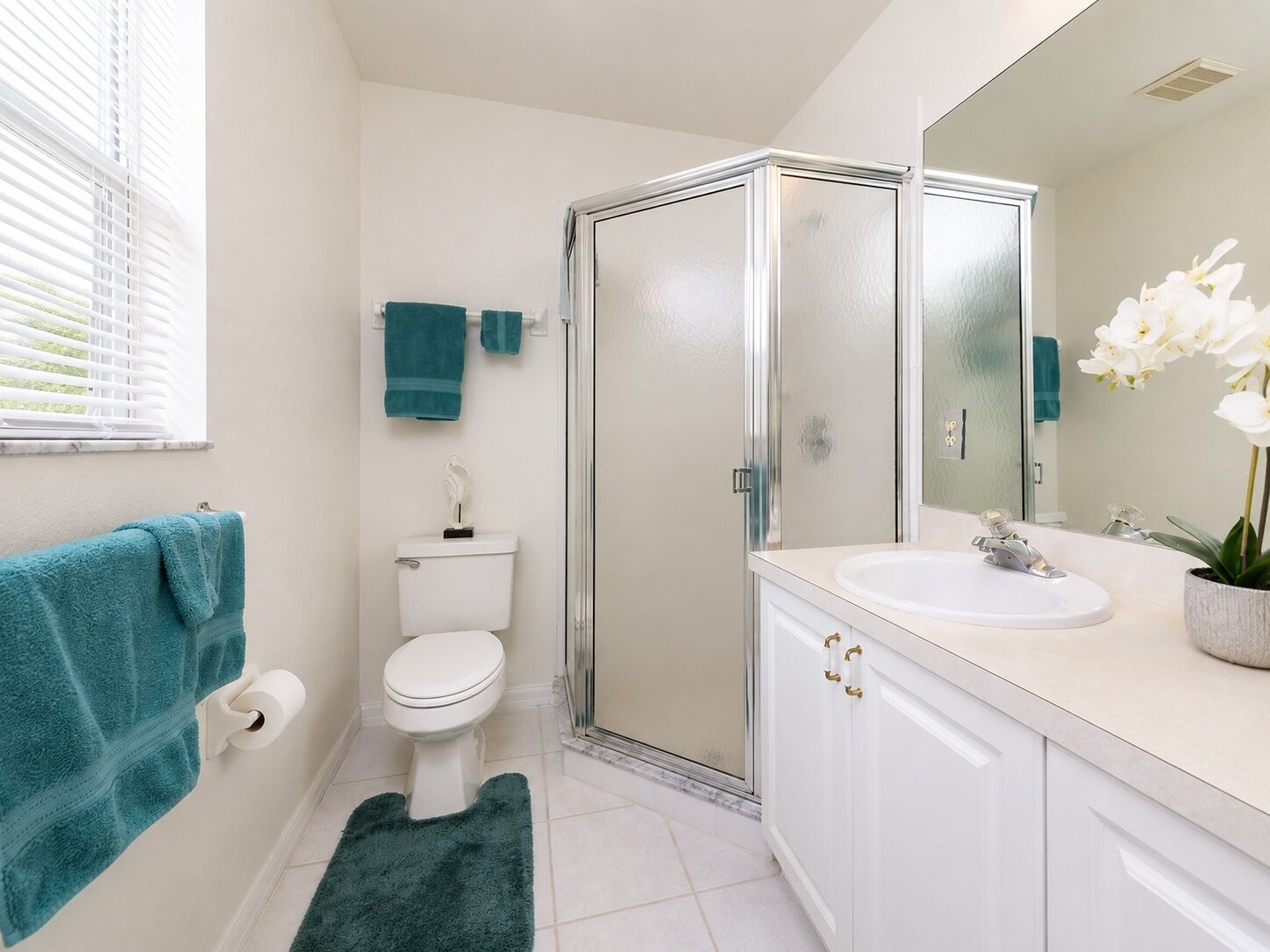 Combined shower/tub, hair dryer, towels, soap