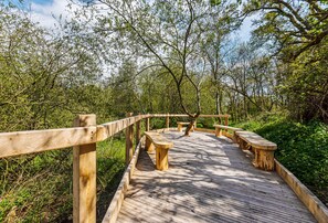 Property grounds - Ladymeade -   part of a beautifully restored former dairy that sleeps 3 guests  in 2 bedrooms (Dorchester)