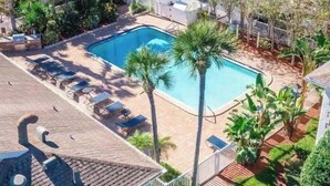 Un área de piscina con sillas de descanso y palmeras.
