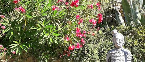 Detall de l'exterior