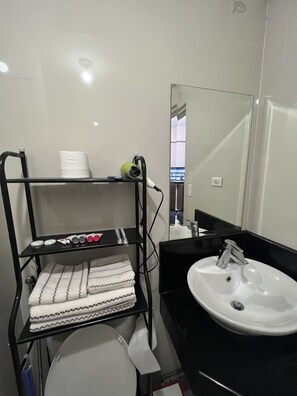 Shower, hair dryer, bidet, towels