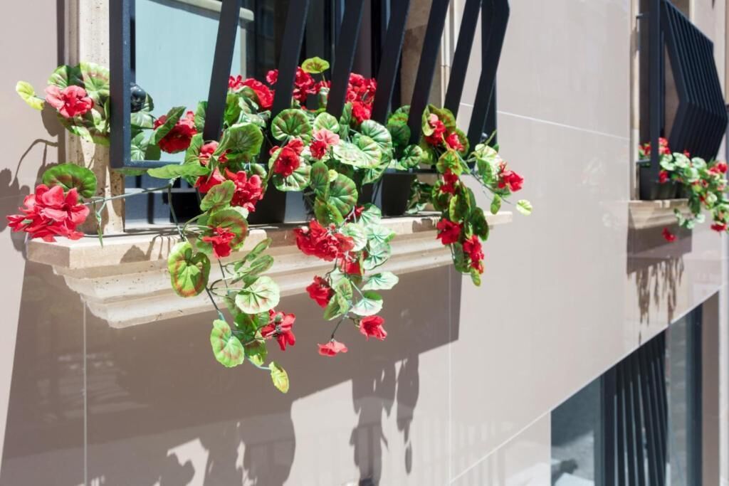 Photo - Home Of Istanbul