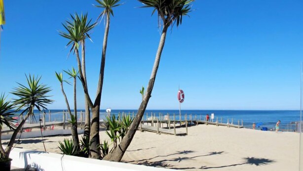 Une terrasse au bord de la plage, avec des tables et des chaises, des palmiers et une vue sur l’océan.