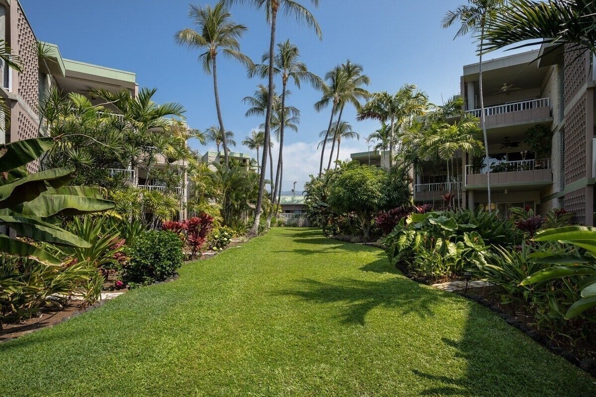 A hotel courtyard with a well-maintained lawn, palm trees, and lush greenery.