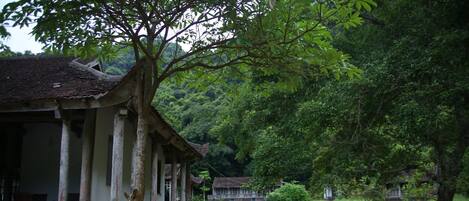 Áreas de la propiedad