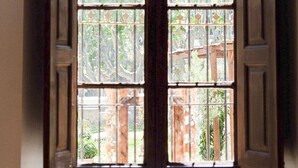 Una finestra a doppia anta con vista su vegetazione e un edificio.