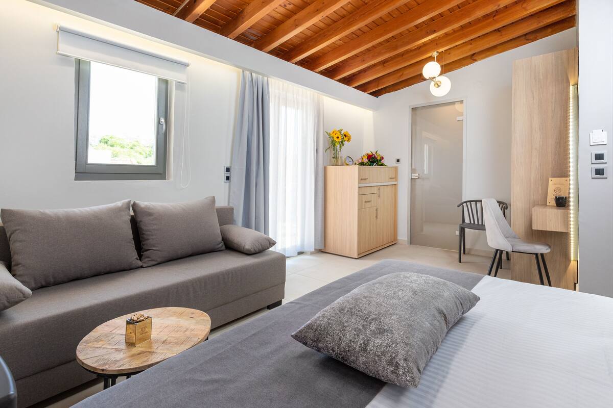 Une chambre moderne avec un canapé, un lit, une armoire en bois et un bureau.