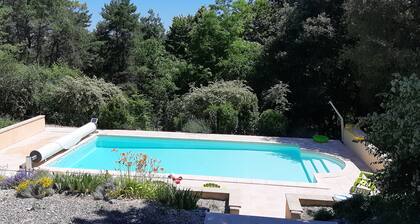 2 steps from the historic center, pleasant, quiet gite with beautiful saltwater swimming pool