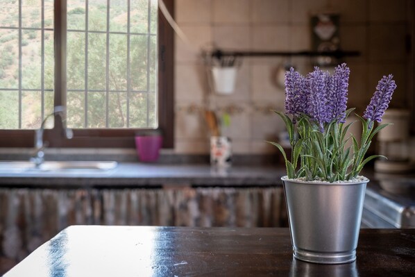 Fridge, microwave, oven, stovetop - Holiday Home Casita T with Mountain View, Pool & Wi-Fi (Canillas de aceituno)