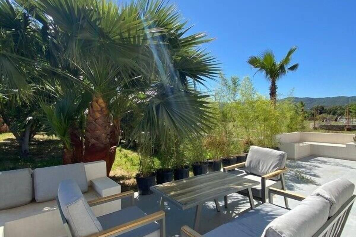 An outdoor patio area with a seating arrangement including sofas and chairs, surrounded by potted plants and palm trees.