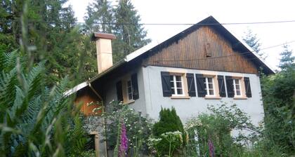 Maison en Pleine Nature 6km de Gérardmer