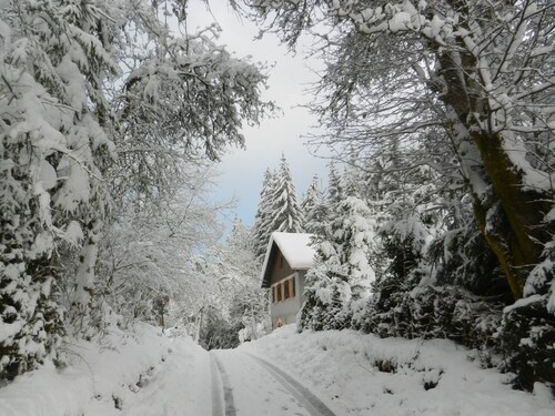 Maison en Pleine Nature 6km de Gérardmer