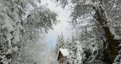 Maison en Pleine Nature 6km de Gérardmer