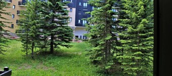 1st floor, balcony, ski locker, 30m², Risoul