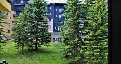 1st floor, balcony, ski locker, 30m², Risoul