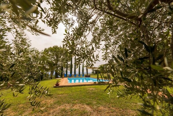 Alberca