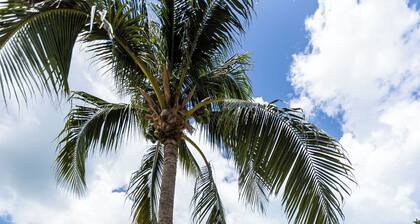 Gardens of the Kai 1 -Luxuriously decorated beachfront unit-by Cayman Villas!