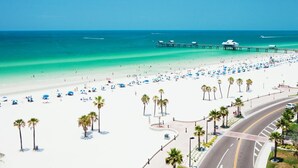 A beach with a pier, palm trees, and a road curving around the beach. - Up to 10 guests - Just min to Clearwater Beach & Indian Rocks Beach (Largo)