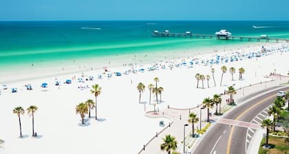 Up to 10 guests - Just min to Clearwater Beach & Indian Rocks Beach