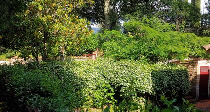 Exclusive villa with fireplaces and large garden near Rome and the lake
