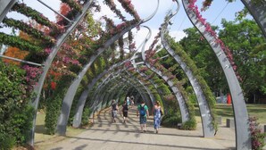 A pedestrian pathway with arches covered in flowering plants. - Brisbane CBD Studio: Modern Comfort Great Location (Brisbane City)