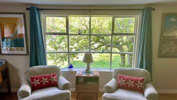 Smart TV, DVD player, books, video library