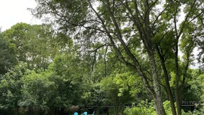 Un espacio al aire libre con césped, dos sillas azules y un árbol.