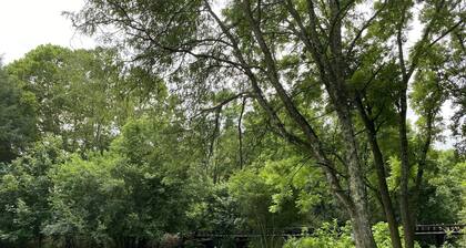 225 The Creek - Peaceful & Cozy