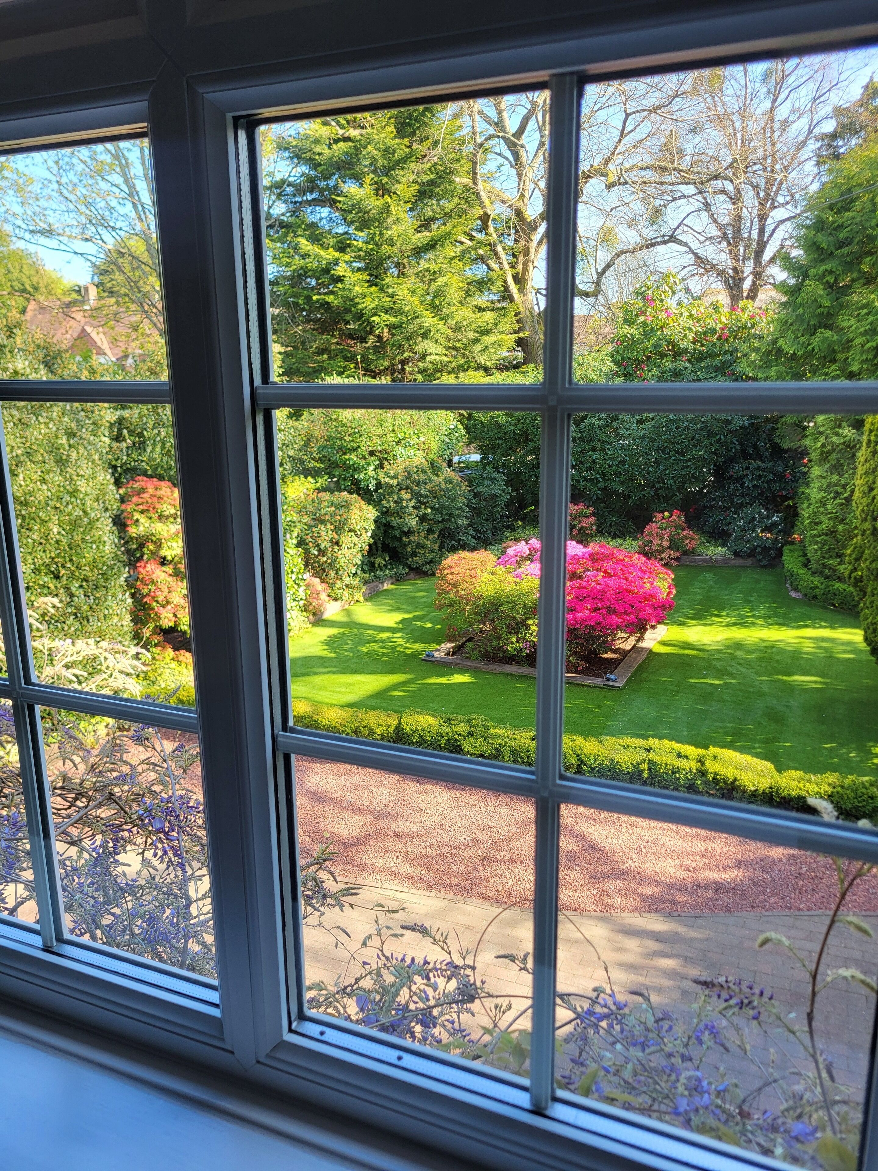 Une vue à travers une fenêtre sur un jardin bien entretenu, où l’on peut admirer différentes espèces d’arbustes et de fleurs.
