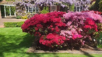 A brick house with a well-maintained lawn and vibrant flowers.