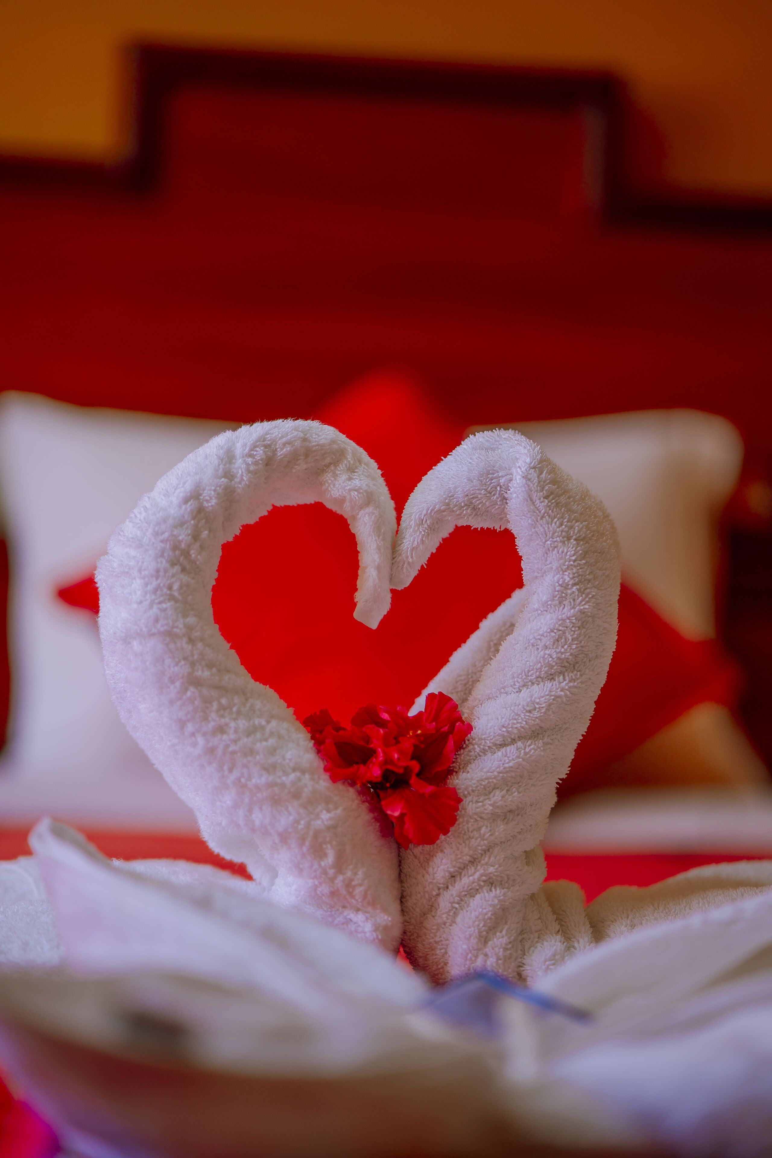 Habitación básica doble | Wifi gratis y ropa de cama 