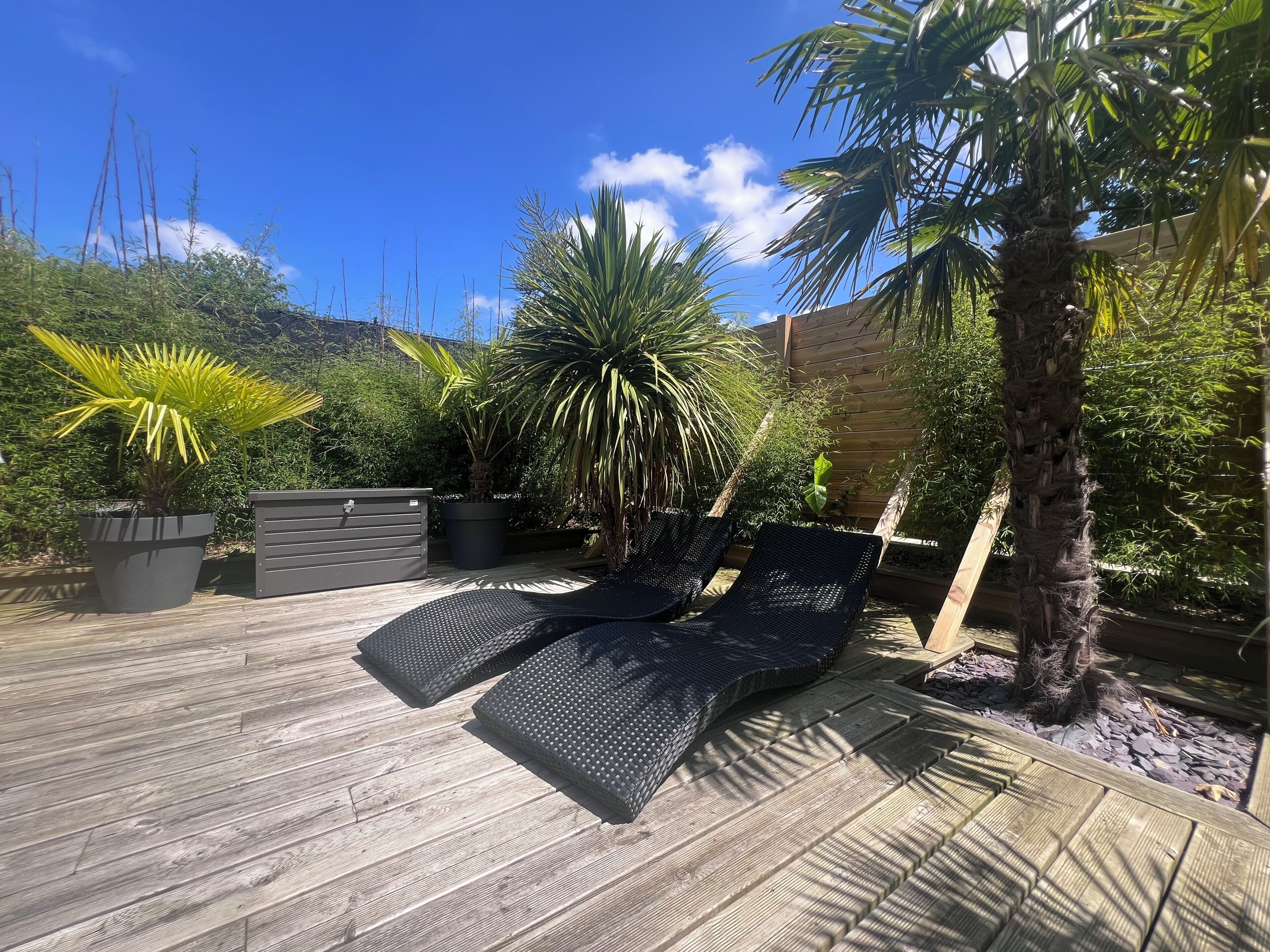 Une terrasse en bois avec des chaises longues, des plantes en pot et un palmier.