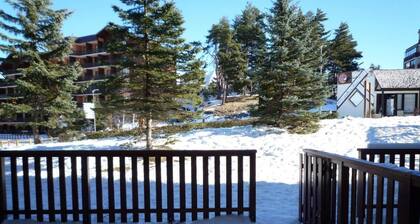 à 130m des pistes de ski, Rez-de-chaussée, vue pistes de ski, terrasse, télévision, casier à ski