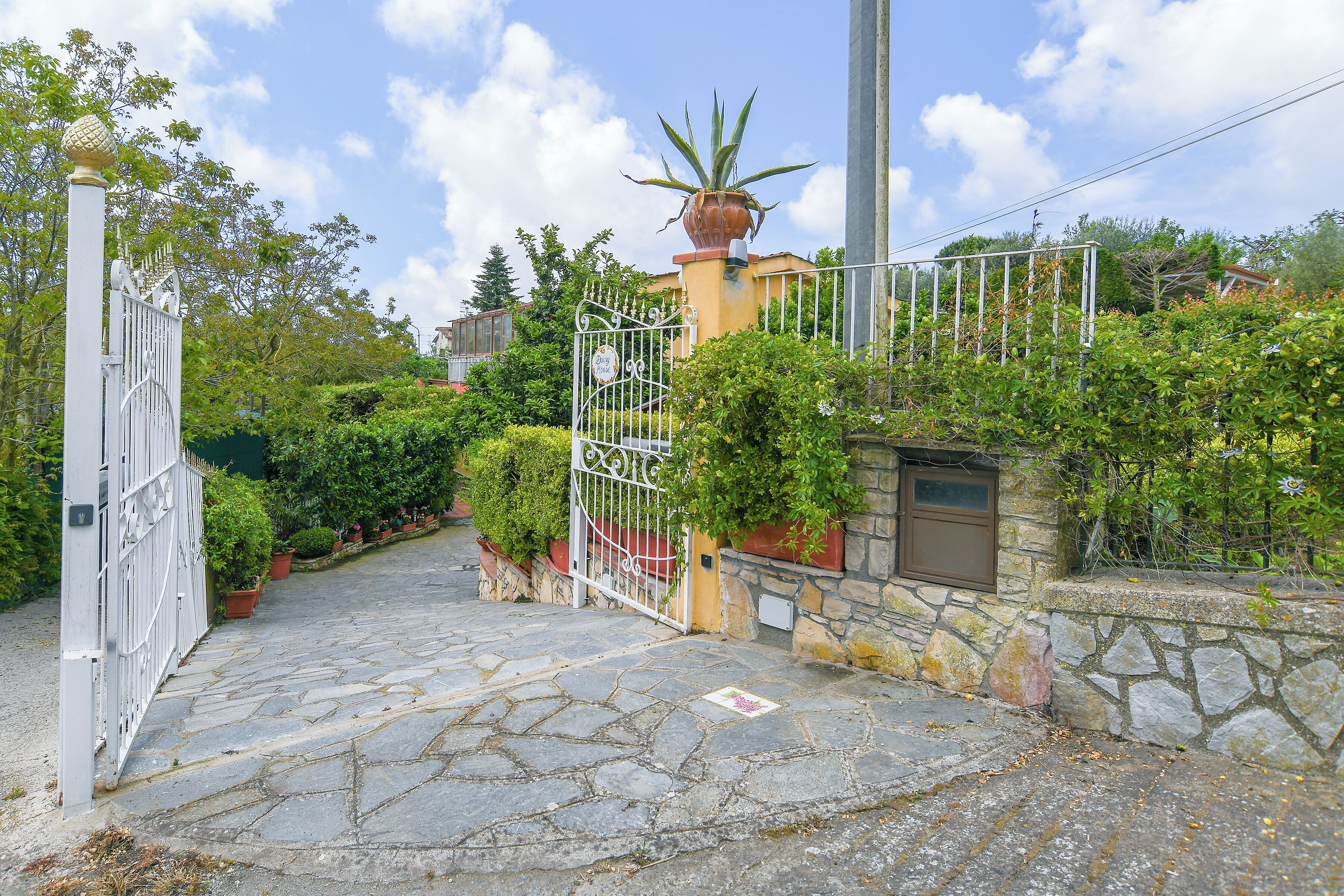 A stone-paved entrance with a metal gate, potted plants, and a large aloe vera plant.
