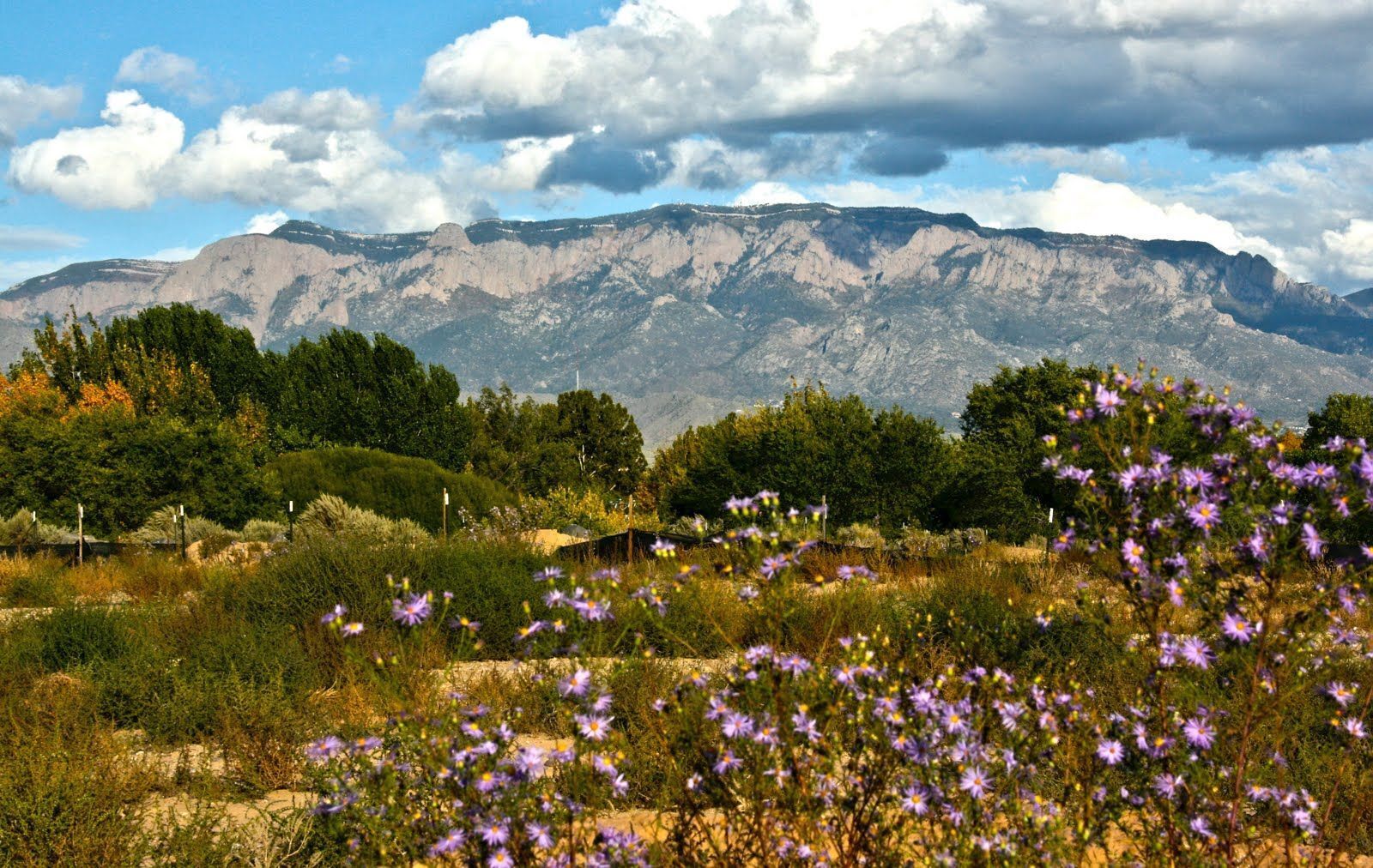 A mountainous landscape with a clear sky and scattered clouds.