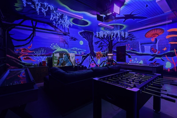NEVER SEEN BEFORE in the entire NC market! Prepare to be transported to a realm of wonder & awe in this mystically enchanting glow jungle themed GameRoom! Scroll through the album for more...