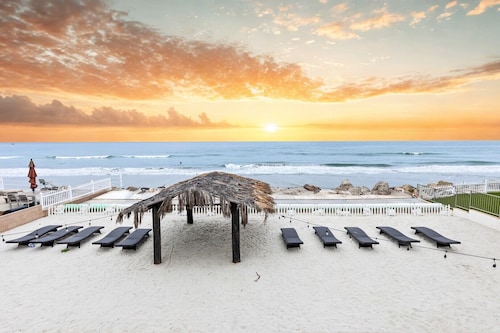 Lower Level Pet Friendly Oceanfront Studio P925-3