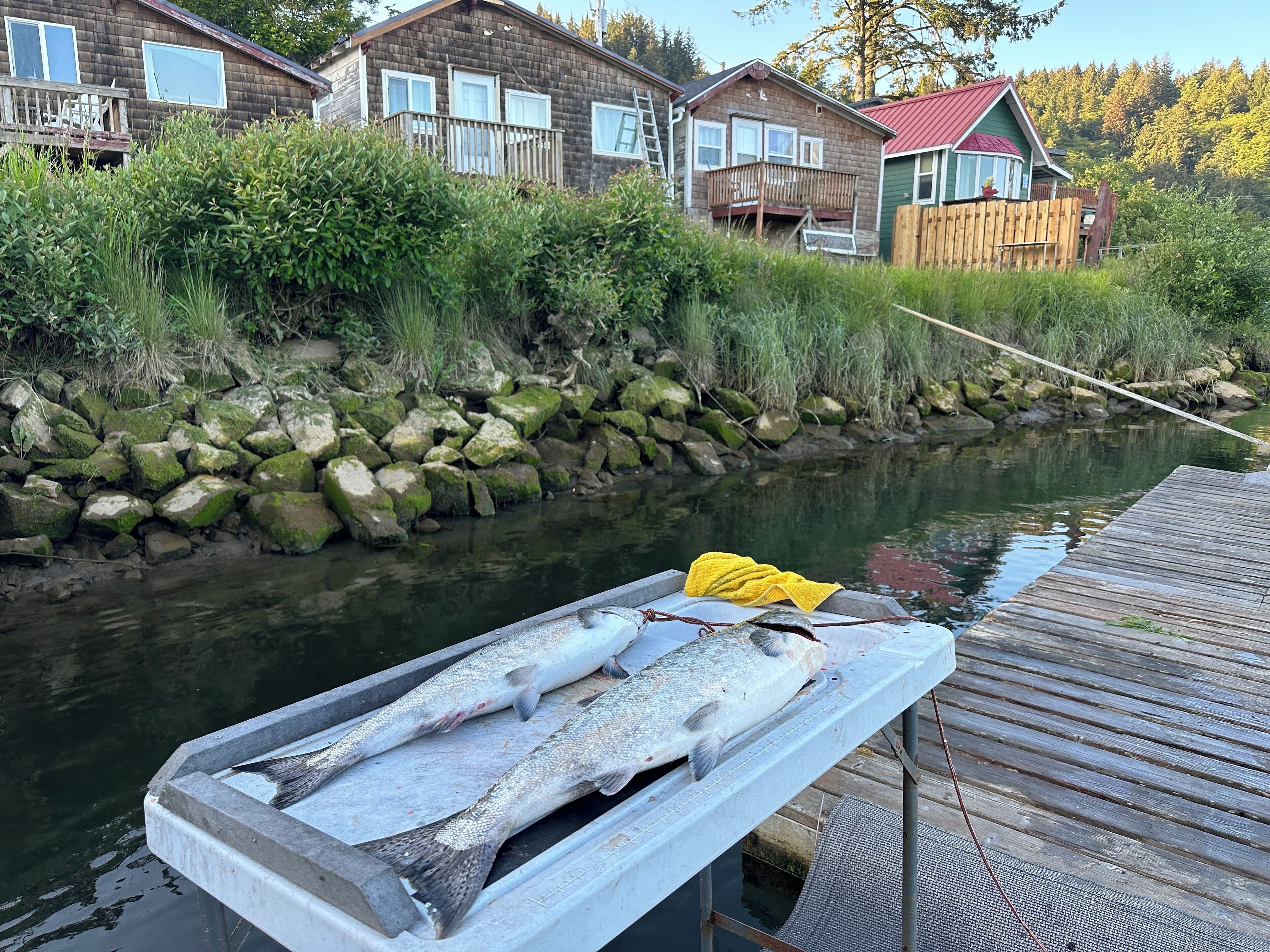 En brygga med en båt full av fisk, en flod och hus i bakgrunden.