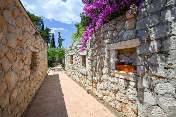Stroll through the charming alleyway lined with lush potted plants, leading to a traditional building with wooden window frames.
