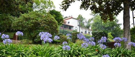 A garden with purple flowers and a white building in the background.