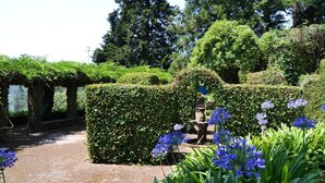 A garden with neatly trimmed hedges, a stone pathway, and blue flowers. - Casa Benedita - Six Bedroom Villa, Sleeps 12 (Abade de Neiva)