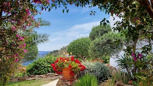 Un jardin avec un sentier en pierre, une grande plante en pot ornée de fleurs rouges, ainsi que divers arbustes et arbres.