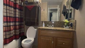 A bathroom with a toilet, vanity, mirror, and shower curtain.