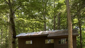 Un chalet rustique situé dans une forêt, avec un sol en terre battue et un feuillage dense.