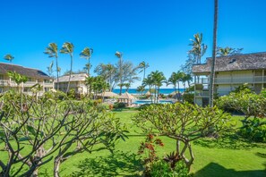 Property grounds - Islander on the Beach 239 Oceanview Studio (Kapaa)