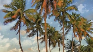 ชายหาด