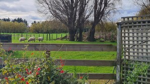 A rural landscape with a fenced area, a wooden structure, and a tree. - Kawakawa Cottage - lovely rural outlook. Convenient location to Manfield Park  (Feilding)