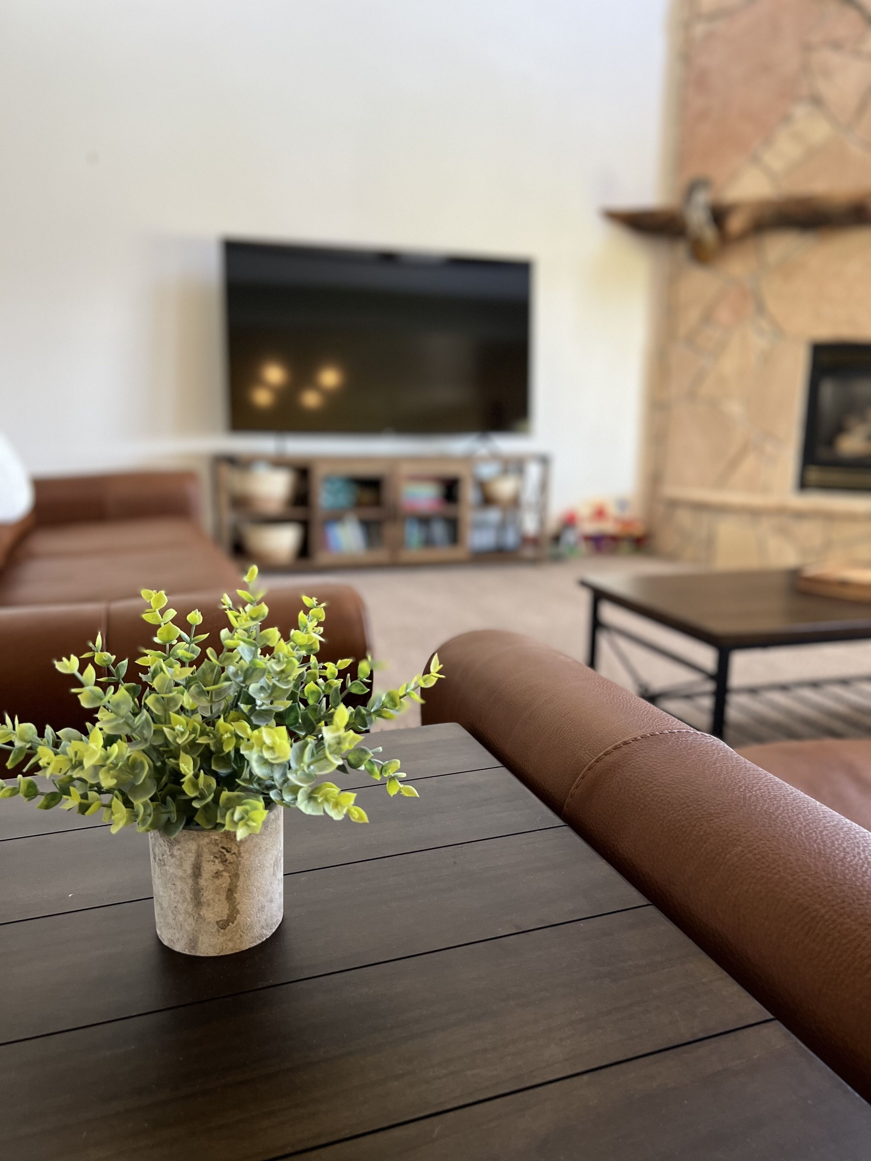 A living room with a brown leather sofa, a coffee table with a plant, a flat-screen TV mounted on the wall, and a stone fireplace.